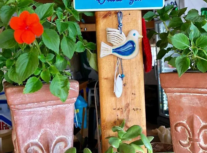 Sarantos Pool Λακήθρα